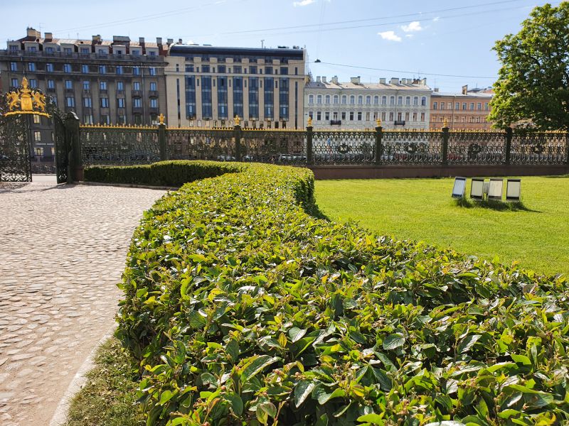 Shrubs Near Entryway