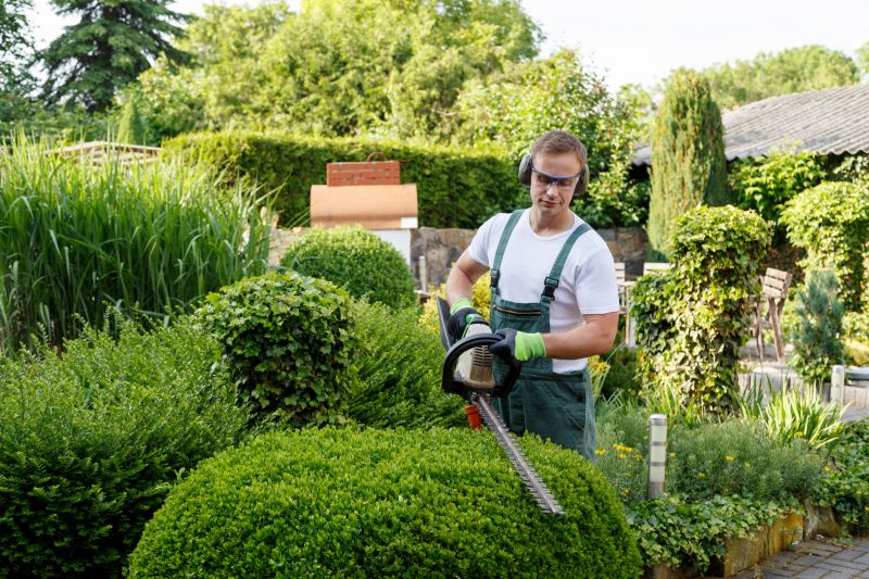 Trimmed Shrubs in a Garden