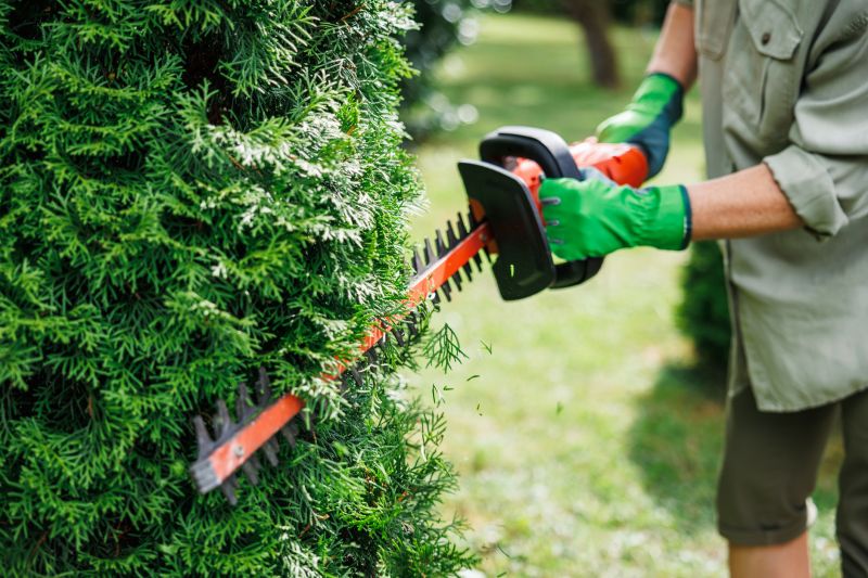 Shrub Trimming Equipment
