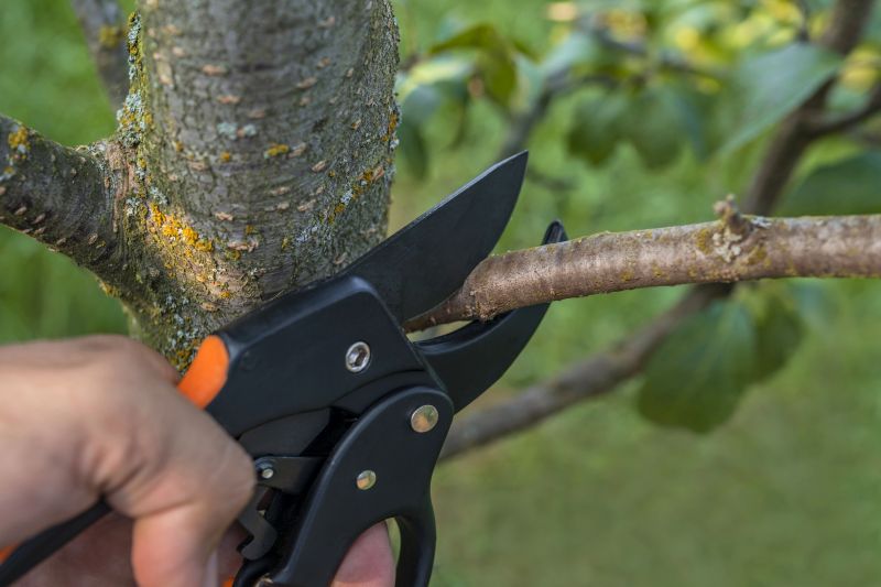 Close-up of Pruning Shears