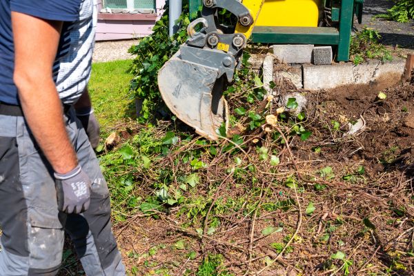 Hedge Removal Service in Berkeley