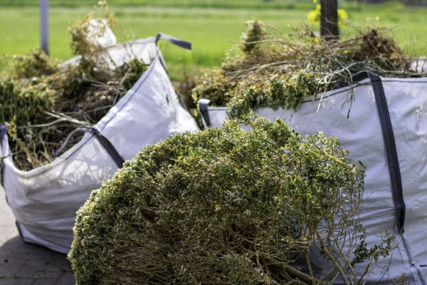 Cost of Shrubs Removal in Berkeley